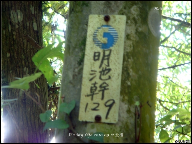 爬得越高看得越遠_北橫東進西出
