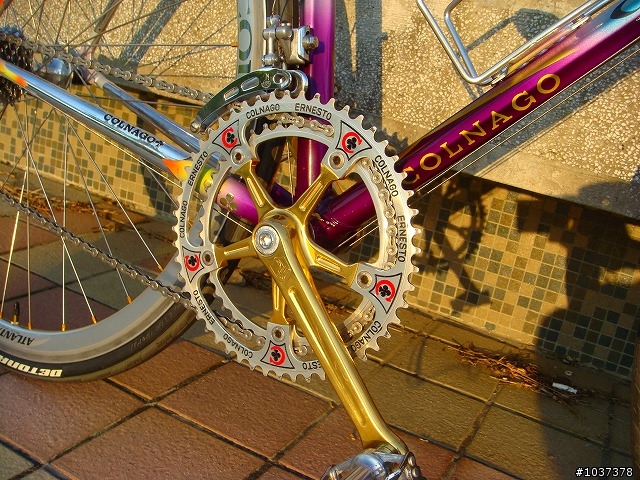我的COLNAGO