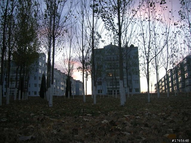 向各位01的朋友们介绍一个小城市