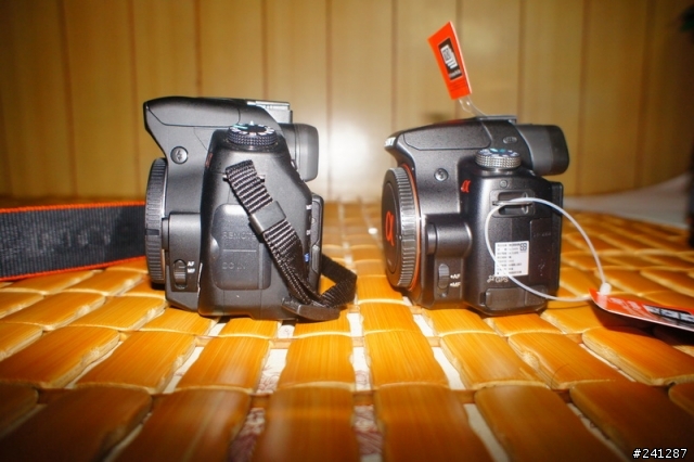 [分享]~我的雙機流A55 & NEX5