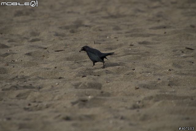 [雙管齊上]Sigma 18-250mm F3.5-6.3 DC OS HSM+Tamron AF 18-270mm F3.5-6.3 DI II VC旅遊鏡開箱與測試~
