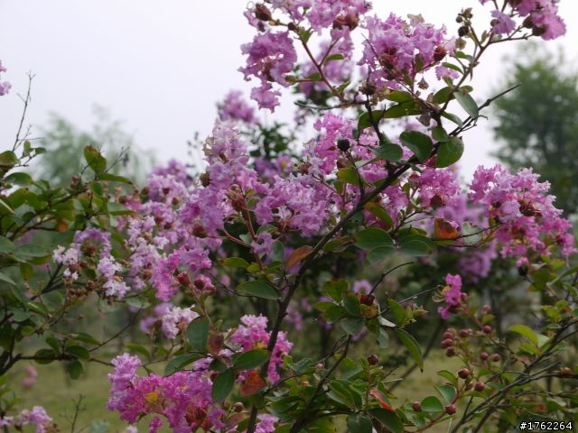 松下g2隨便傳了幾張,分享學習