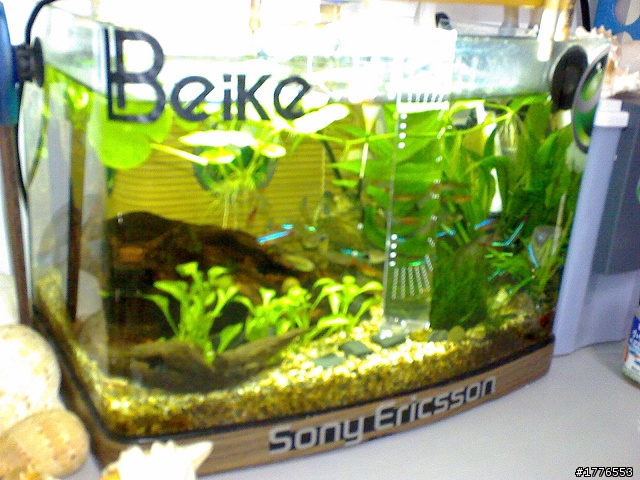 Beike2010倍可索尼缸手工制用具原創(有原創才敢大聲)歡迎同好比較或提供原創