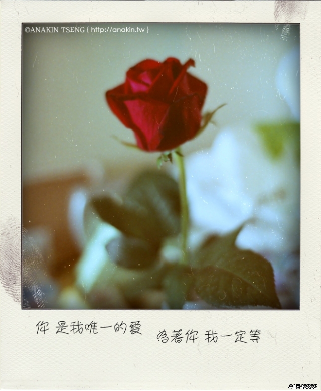 [交流]照片搭歌詞蓋平房可行嗎?
