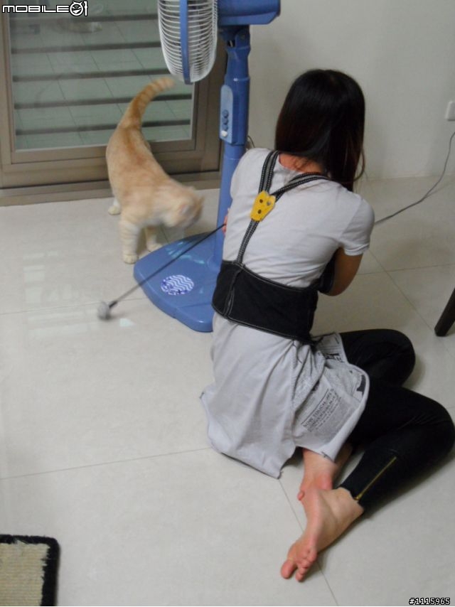 妹妹玩貓，我玩…9/17更新...