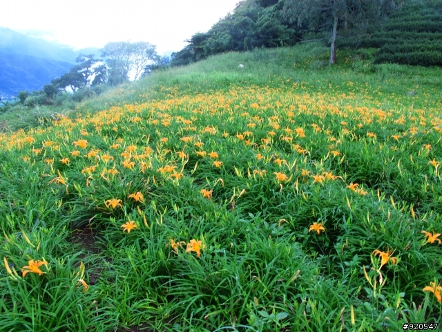 出外靠朋友！行李靠箱神！環島之旅~~(圖很多請耐心收看)