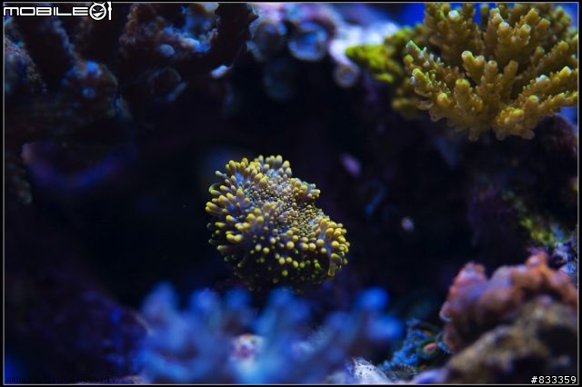 海水世界