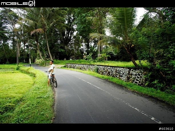 【巴里島】烏布鄉間小路, 單車行