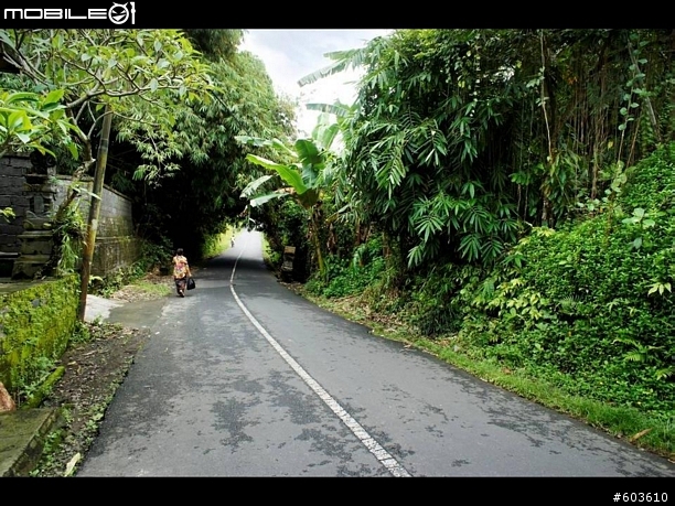 【巴里島】烏布鄉間小路, 單車行