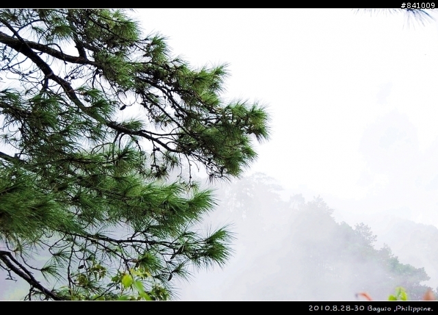夏都‧碧瑤Baguio