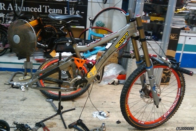 （分享）Yeti 303 R DH