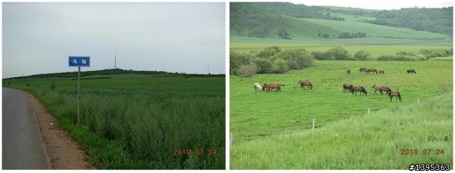 【2010神州之旅  】  北極村    TO   廈門