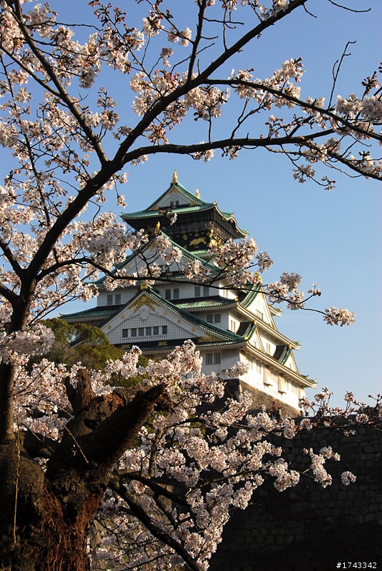 2010．關西．花見