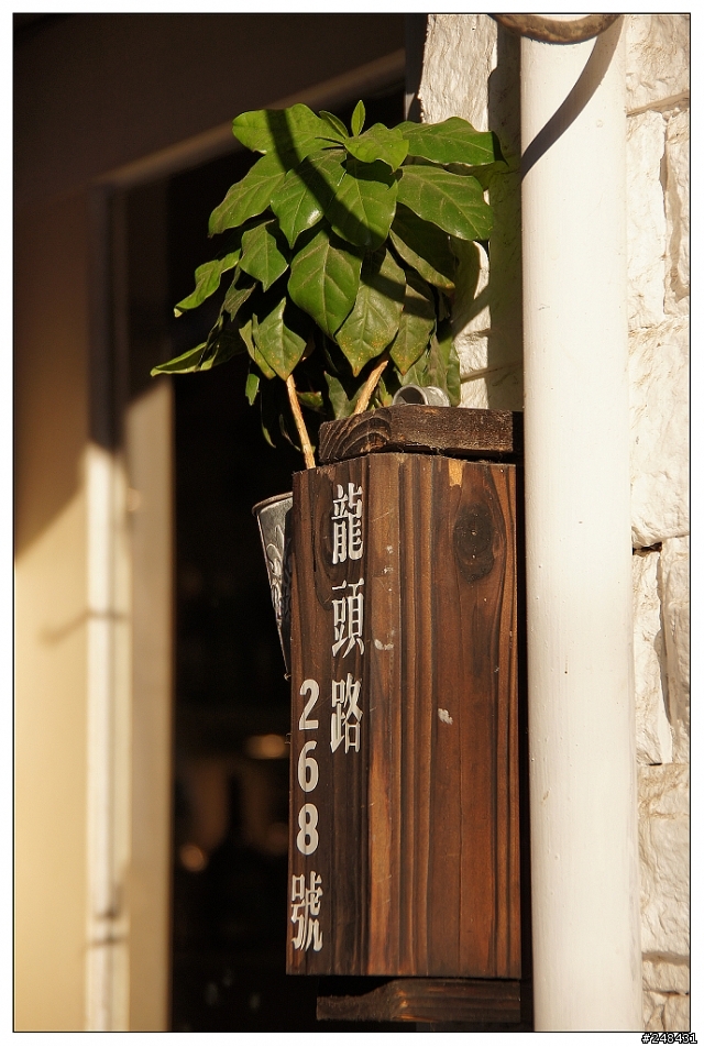 Sony DT 18-250 新增實拍照  於 1樓   A55 + Sony DT 18-250     250mm 端 這樣夠銳利了吧!??