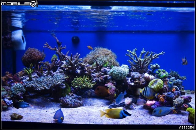 海水世界