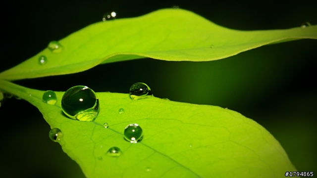 大陸影友來給EF100mm f2.8L Macro IS USM蓋大樓~~~~