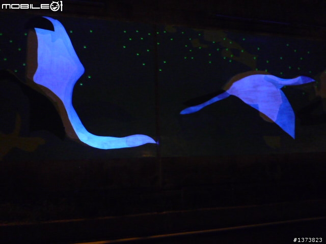 【分享】2010-10-10 單車夜騎+國慶煙火+花博夜景 親子同遊 一次搞定