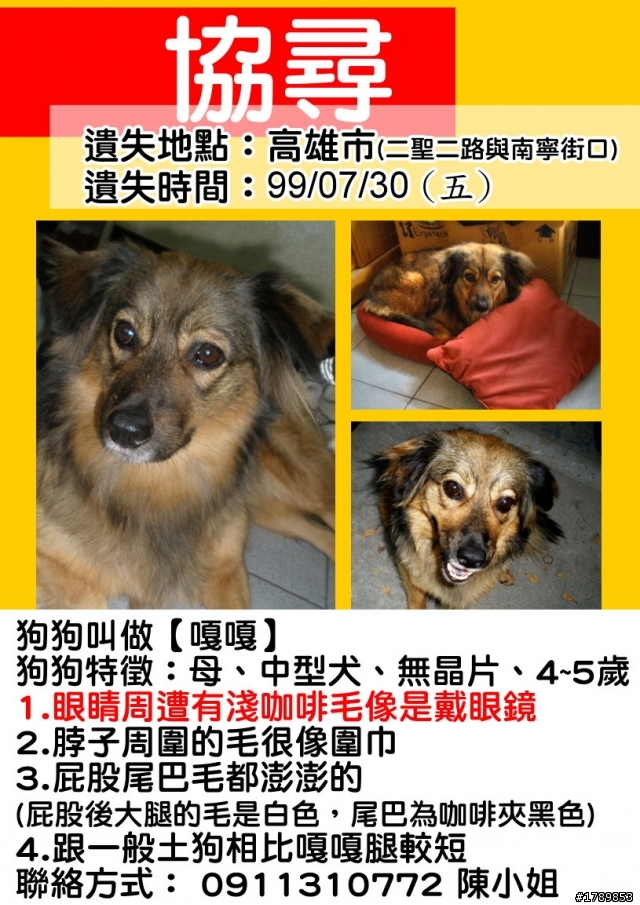 [協尋]拜託高高屏地區的好心人幫幫忙協尋狗狗!!!