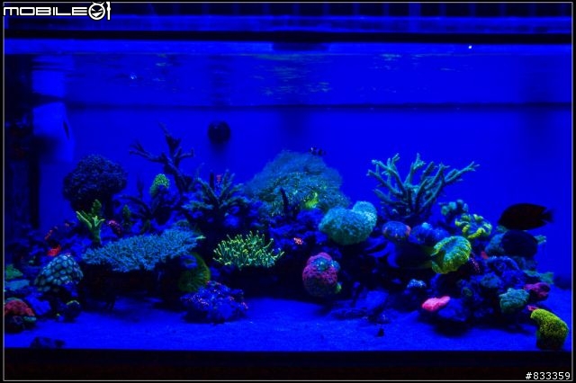 海水世界