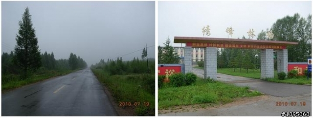 【2010神州之旅  】  北極村    TO   廈門