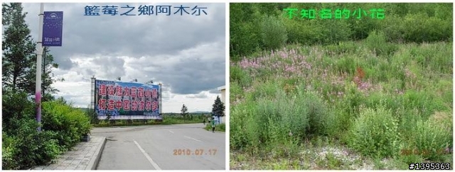 【2010神州之旅  】  北極村    TO   廈門