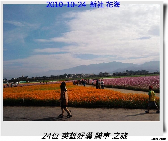 2010-10-24 旺仔與24位好漢 由彰化騎車至新社花海 之旅 全程 90公里 圖片