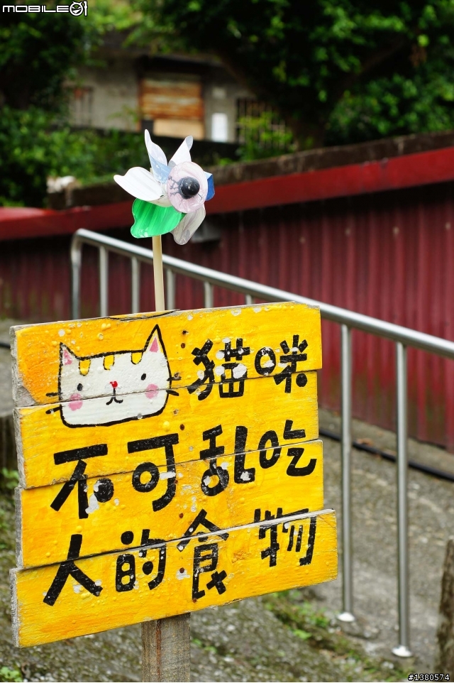 猴硐尋貓記！(圖多慎入)