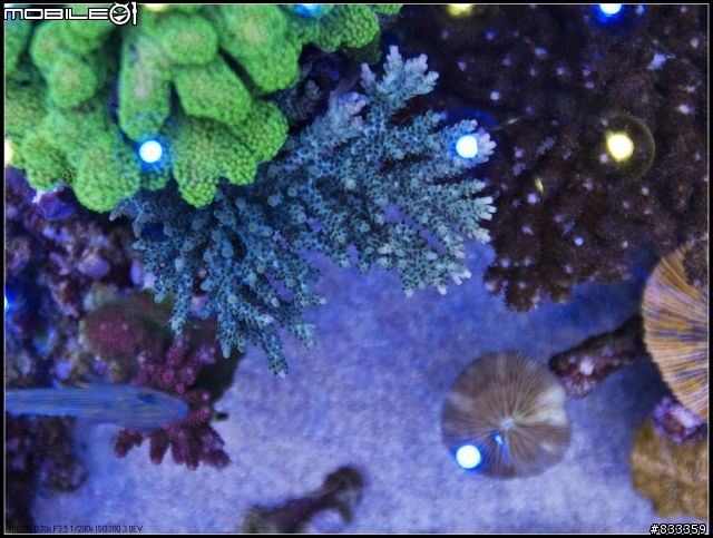 海水世界