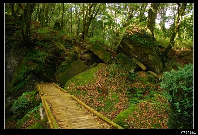 南庄-鹿場部落-加里山