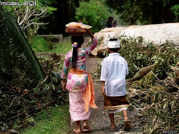 【巴里島】烏布鄉間小路, 單車行