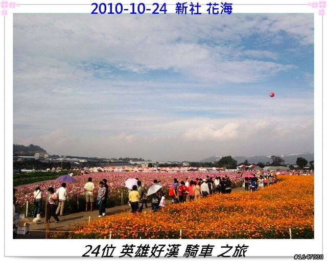 2010-10-24 旺仔與24位好漢 由彰化騎車至新社花海 之旅 全程 90公里 圖片