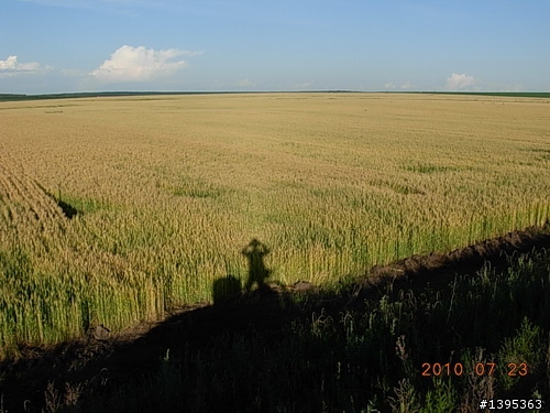 【2010神州之旅  】  北極村    TO   廈門