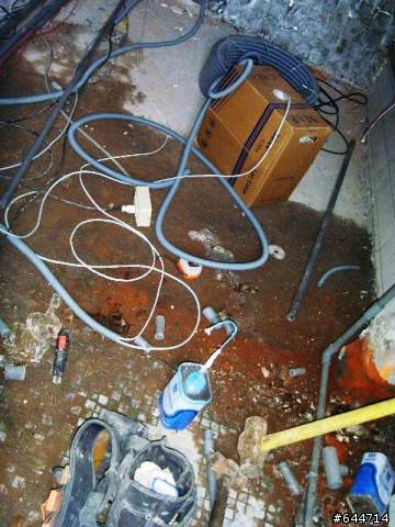 搶救40年老屋大作戰(圖多)