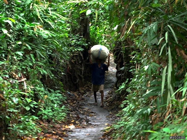 【巴里島】烏布鄉間小路, 單車行