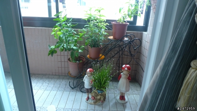 辛苦3個月將不起眼的公寓變身成小豪宅.補上格局圖