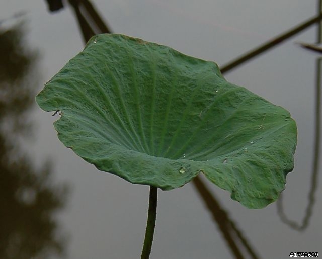 NIKON 24-120 mm F/4G VR N 開箱