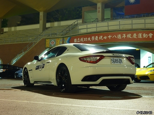 [TZ7] 成大操場上的馬群分享給大家