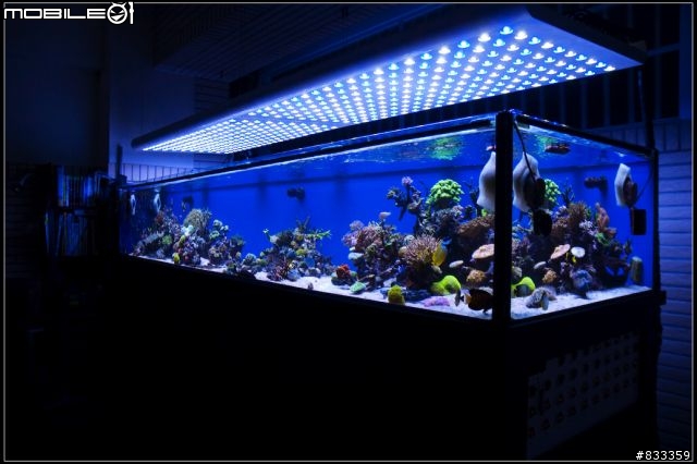 海水世界