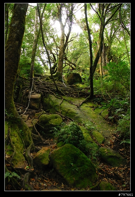 南庄-鹿場部落-加里山
