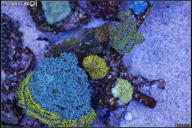 海水世界
