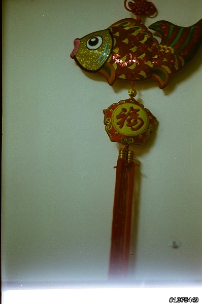 在露天上買到的蘇聯相機（新增拍攝回來的底片50樓）