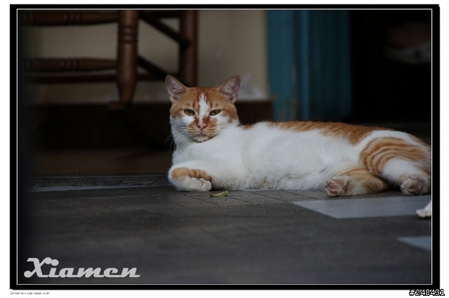 Sony DT 18-250 新增實拍照  於 1樓   A55 + Sony DT 18-250     250mm 端 這樣夠銳利了吧!??
