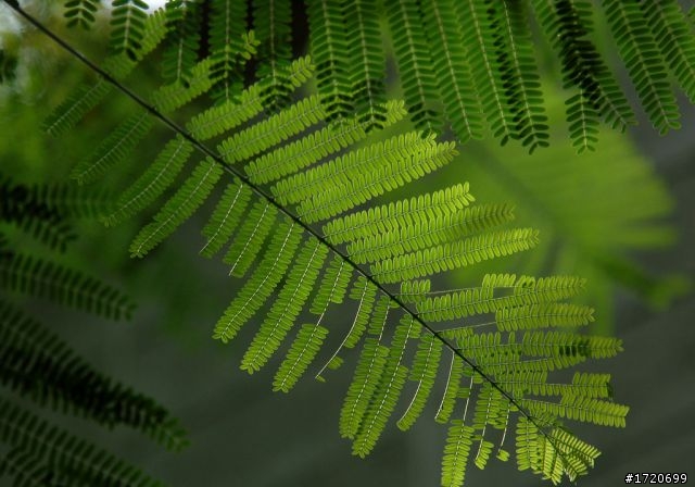 NIKON 24-120 mm F/4G VR N 開箱