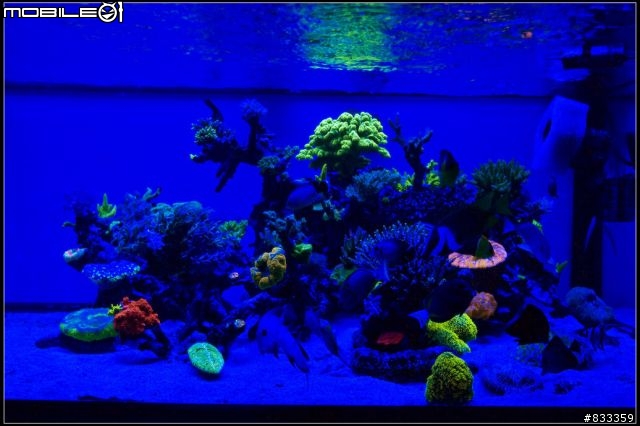 海水世界