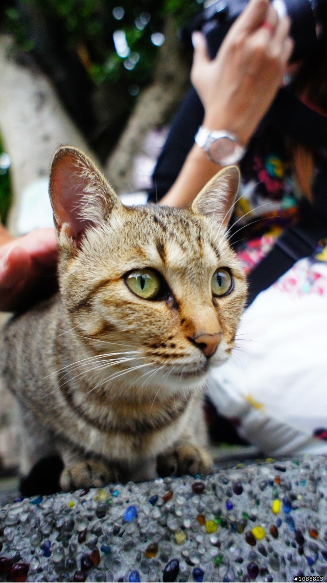 (分享)nex5定焦 猴硐 九份 試拍
