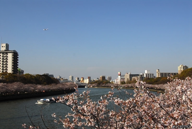2010．關西．花見