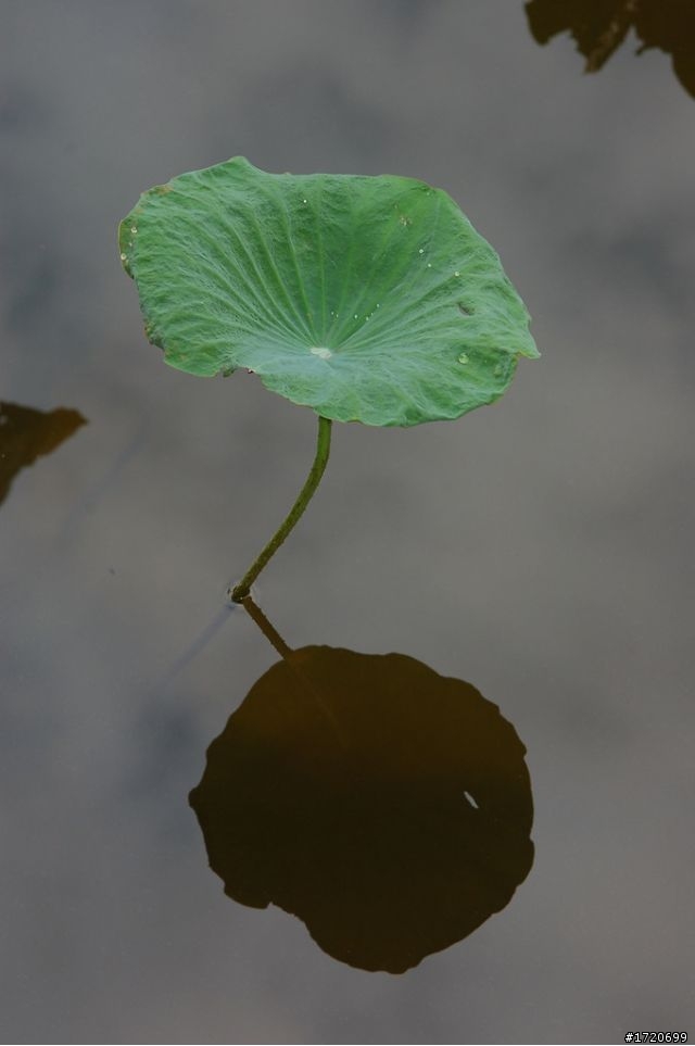 NIKON 24-120 mm F/4G VR N 開箱