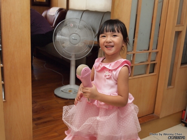Olympus E-PL1 + 14-42kit with Nissin Di466 婚宴試拍