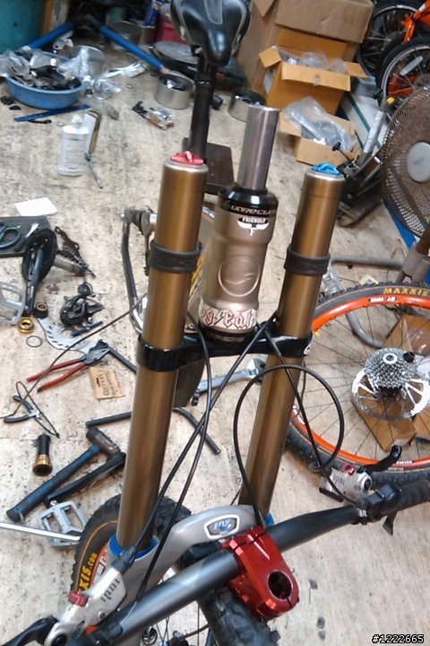 （分享）Yeti 303 R DH