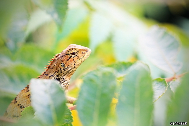 大陸影友來給EF100mm f2.8L Macro IS USM蓋大樓~~~~